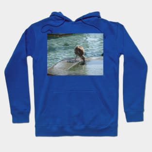 Thirst quencher Hoodie